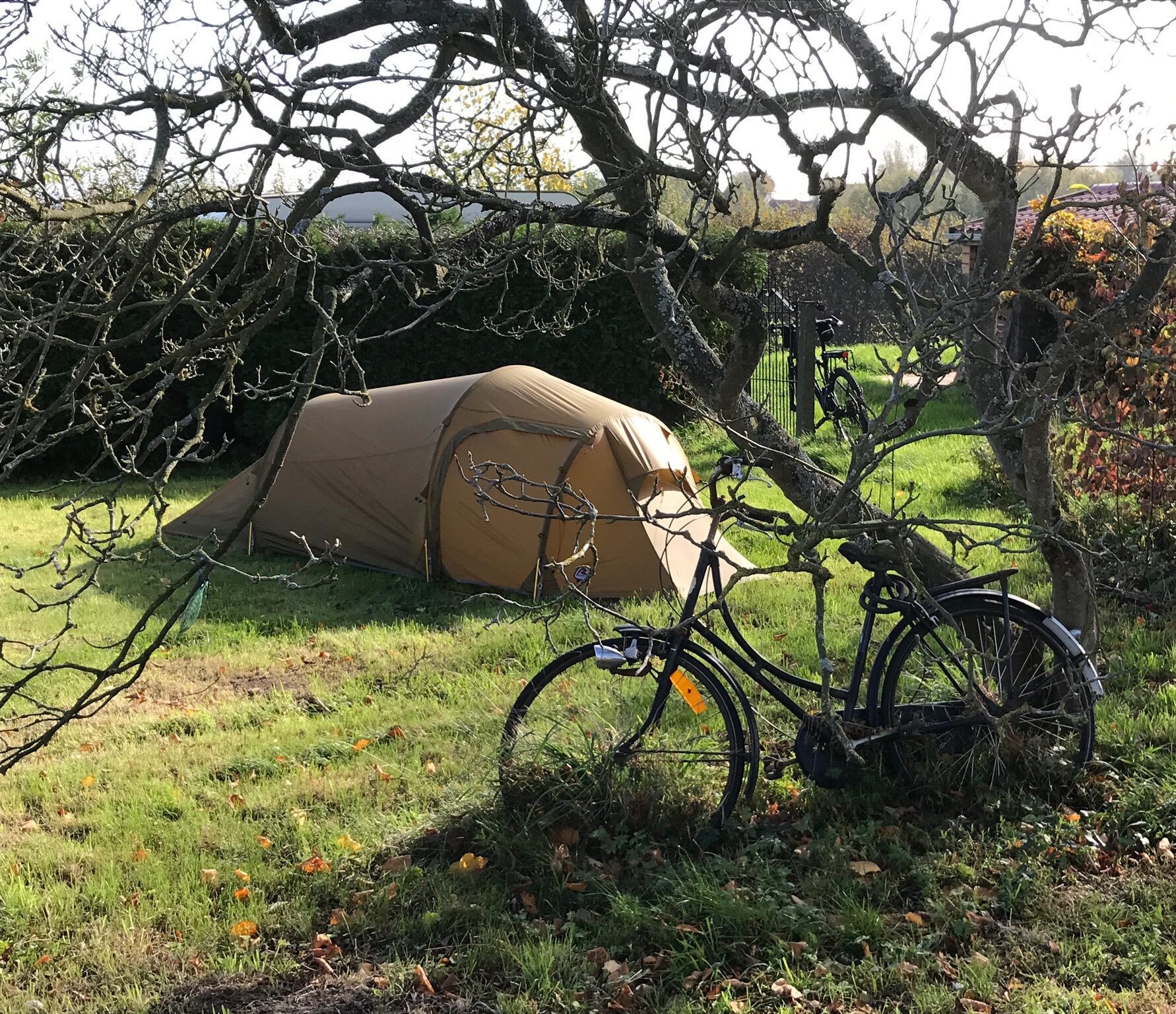 53585169-518A-423F-AA5D-4EC41FEB314D-e1672414255679